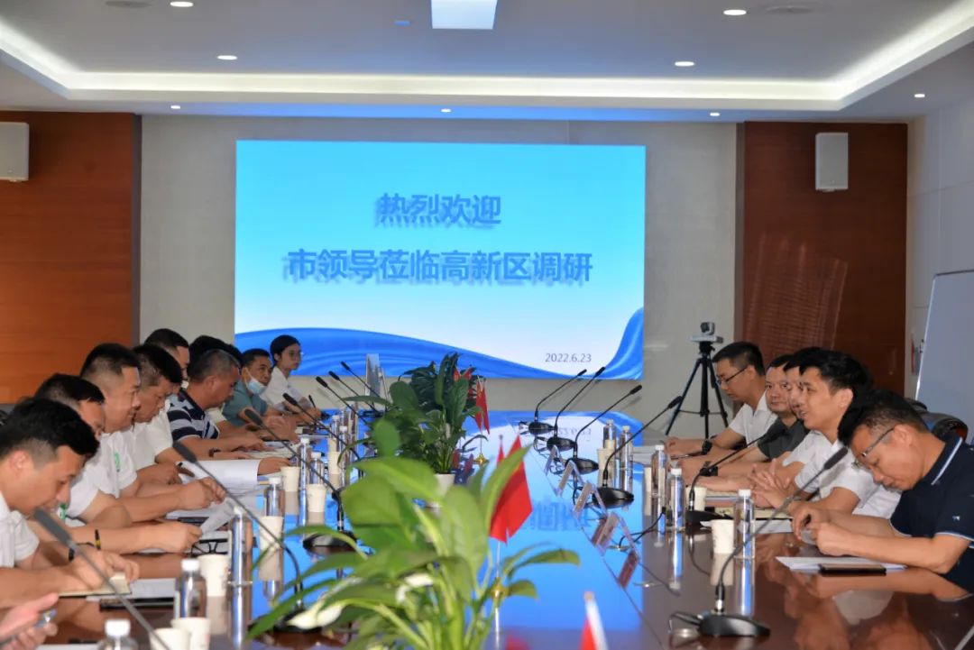 廉江市领导莅临开yun体育官网入口登录app下载高新产业园调研指导廉江音乐小镇项目建筑